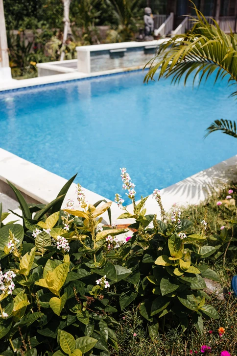 Une piscine à l'eau limpide et aux beaux atouts jouxte un jardin fleuri