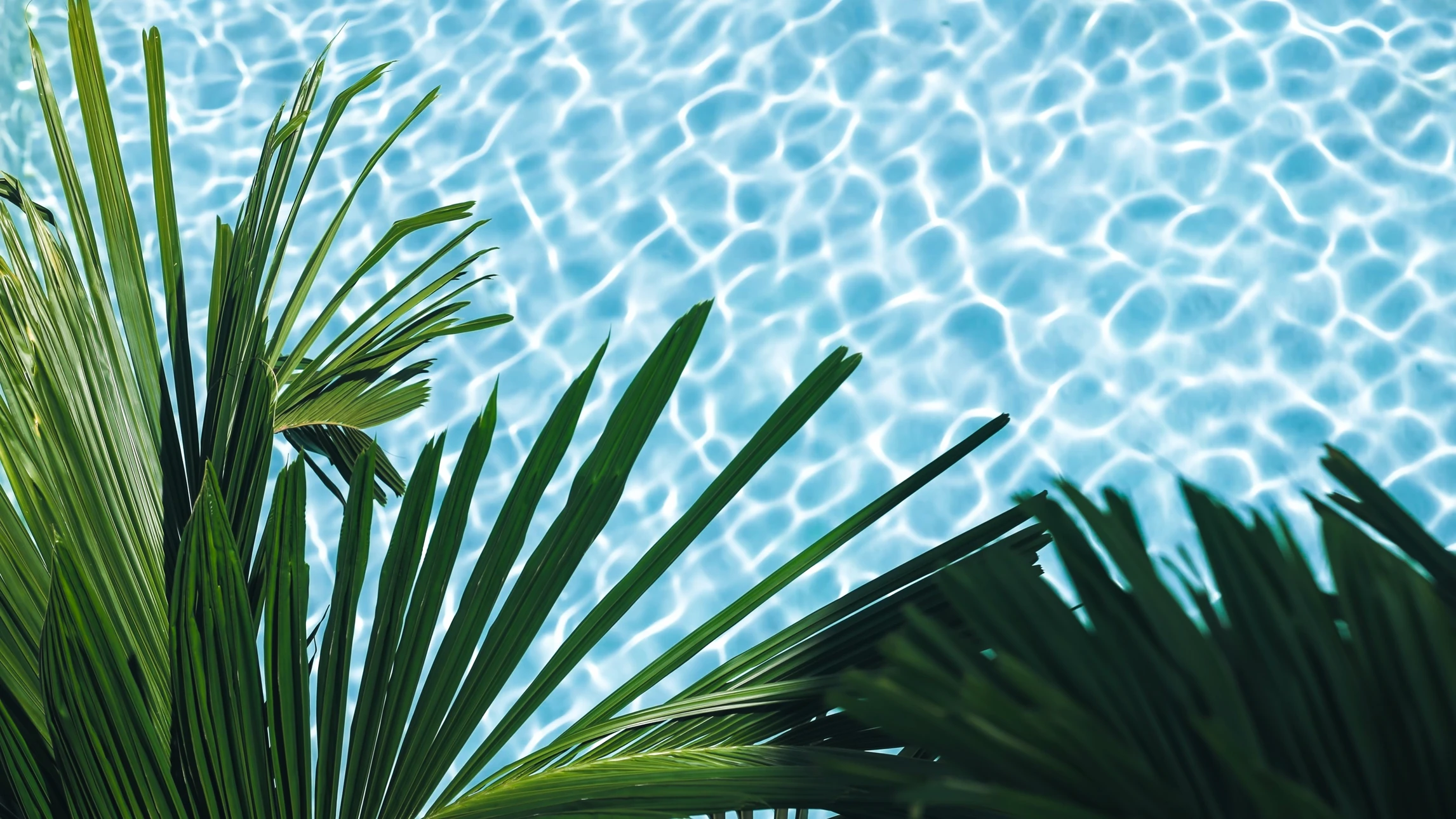 Spa extérieur avec jacuzzi en fonctionnement, bulles d'hydromassage actives, deux flûtes de champagne posées sur le rebord avec serviettes blanches pliées